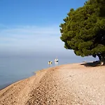 게스트하우스 Sobe Gorana Živogošće